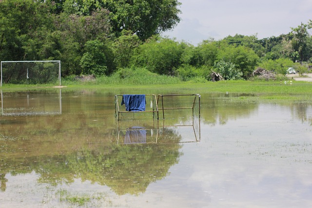 聯賽對紀律 聯賽對紀律