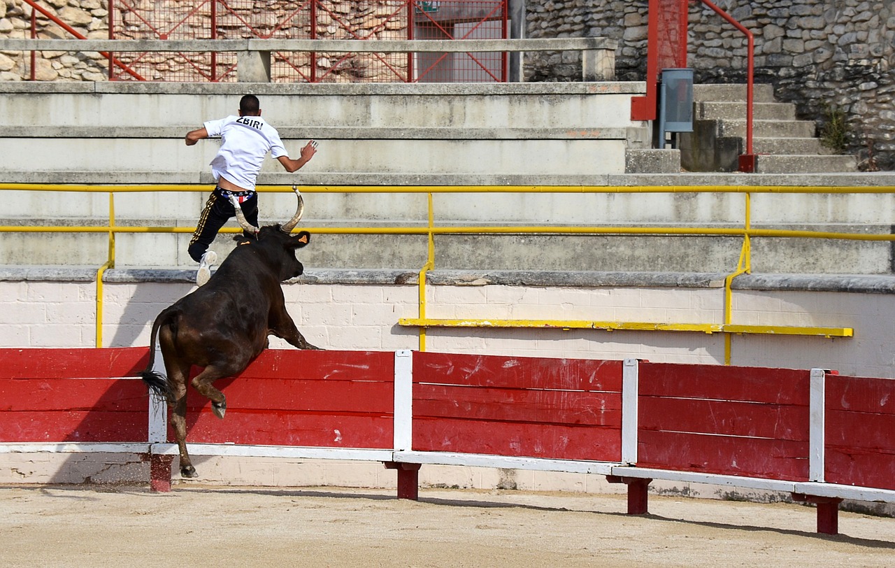 客户体验
