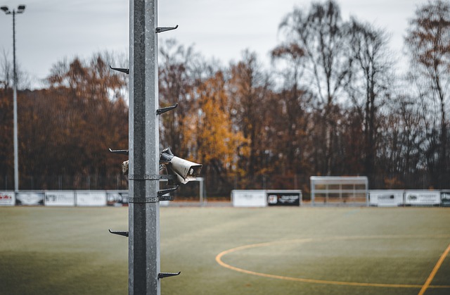 贡献了全场 贡献了全场