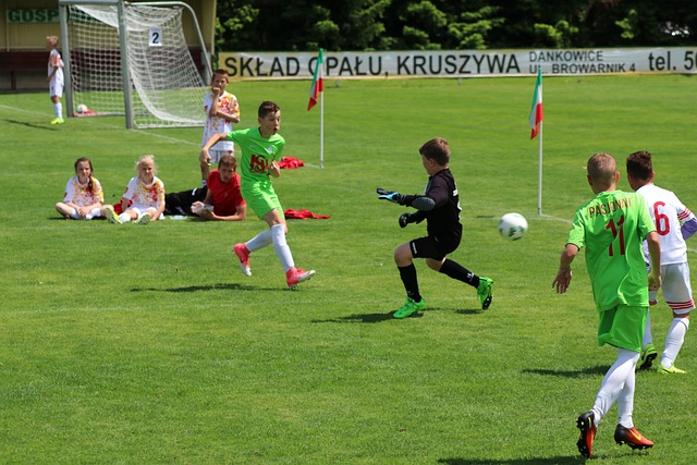 旅游产业的 旅游产业的