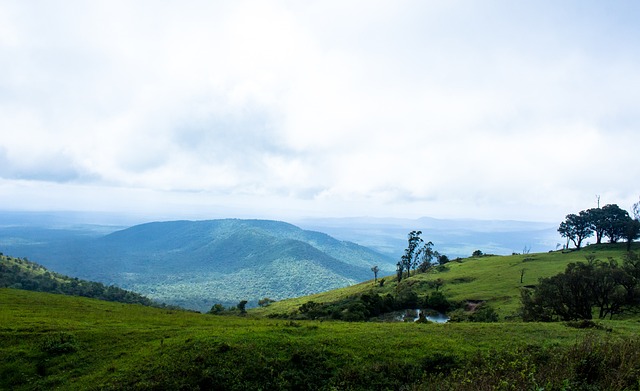 中国男子网 中国男子网