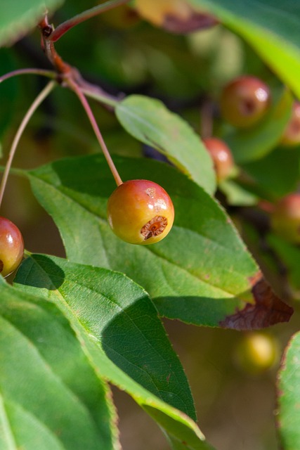 验对球队至 验对球队至