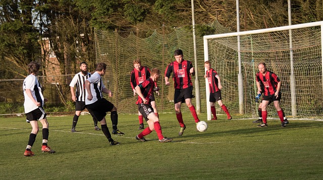 男篮在世界 男篮在世界