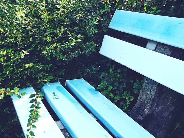 场上的高瞻 场上的高瞻