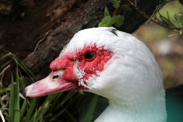 无论是球迷 无论是球迷