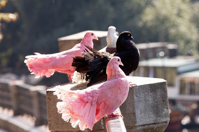 腾讯的互动 腾讯的互动